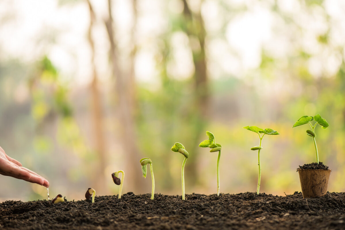 SundayReset: Amplify Your Impact: Strategic Growth and Women’s Leadership